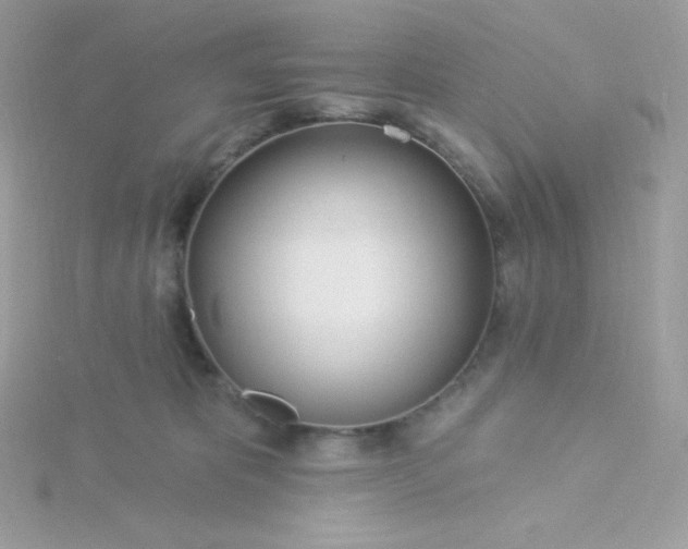 X0000115830325200911271204