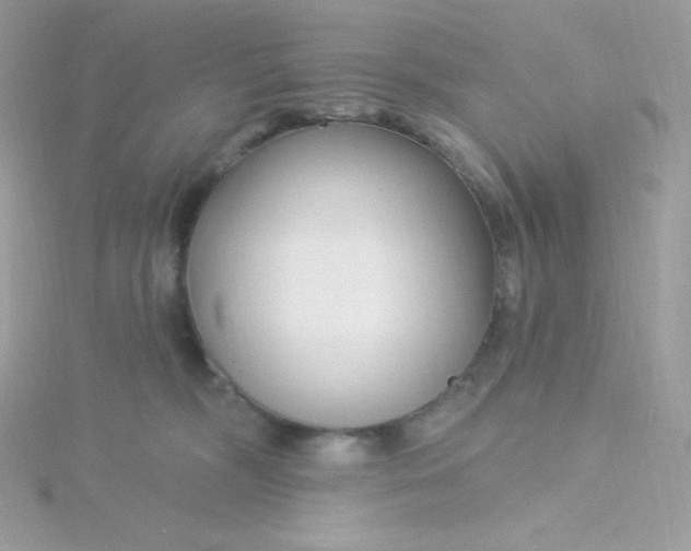 X0000115830326200911271204