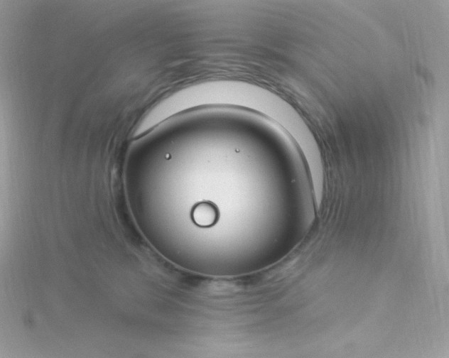 X0000115830327200911271204