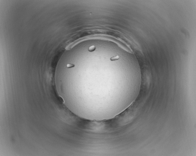 X0000115830328200911271204