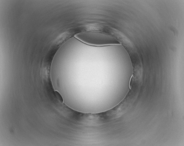 X0000115830329200911271204