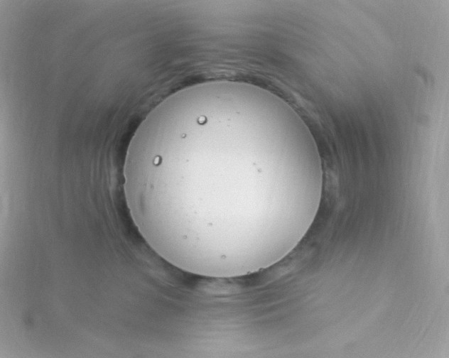 X0000115830331200911271204