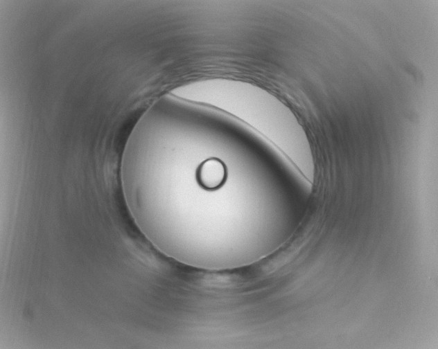 X0000115830332200911271204