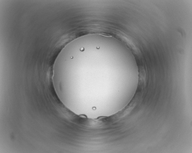 X0000115830333200911271204