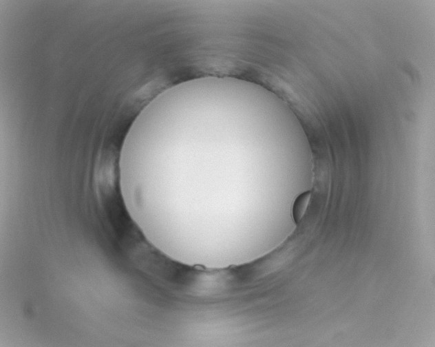 X0000115830334200911271204