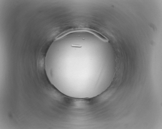 X0000115830336200911271204