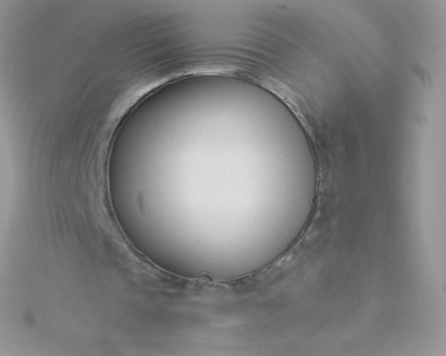 X0000115830337200911271203