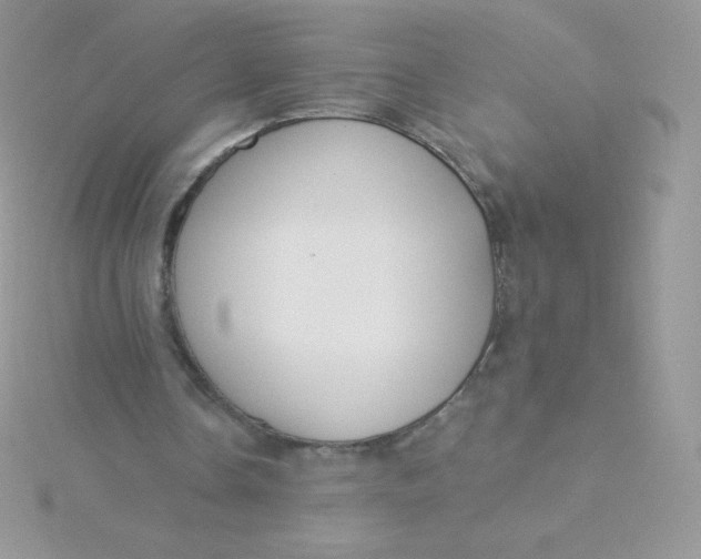 X0000115830338200911271203