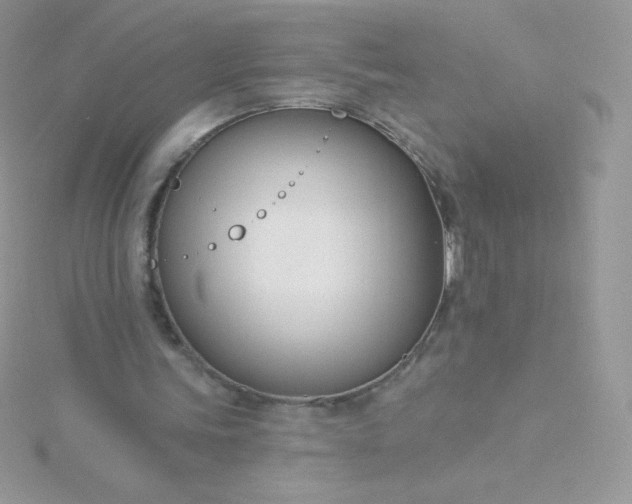 X0000115830339200911271203