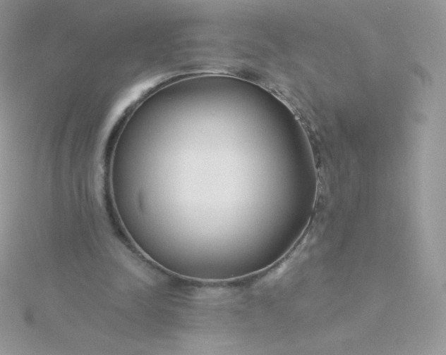 X0000115830342200911271203