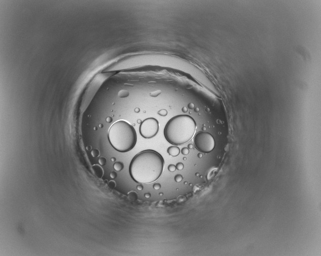 X0000115830343200911271204