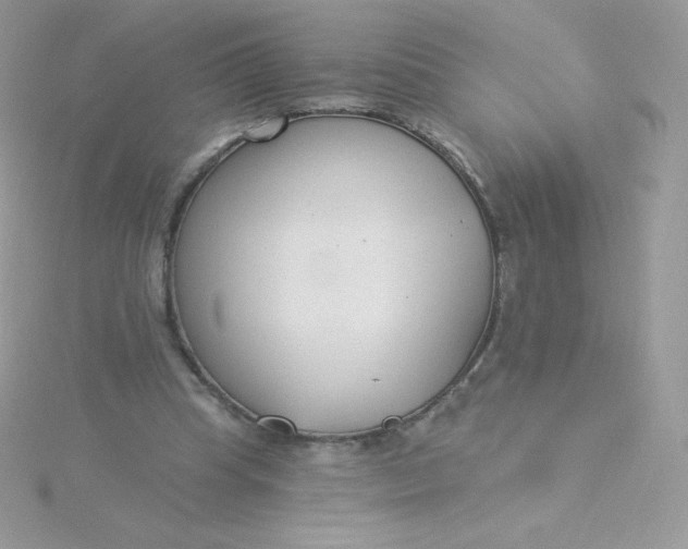 X0000115830345200911271204