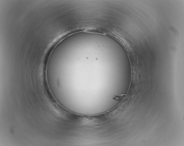 X0000115830346200911271204