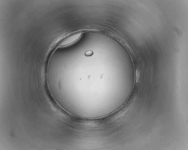 X0000115830349200911271204