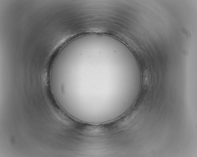 X0000115830351200911271204