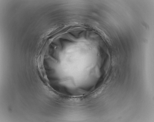 X0000115830353200911271204