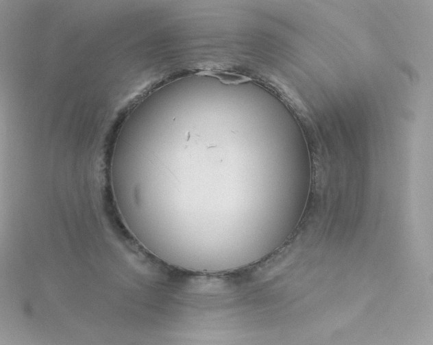 X0000115830354200911271204