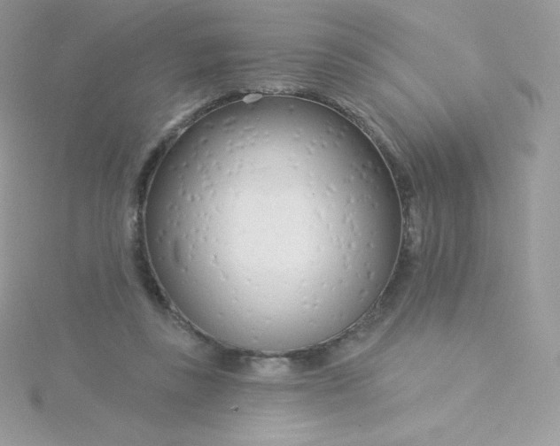 X0000115830355200911271204