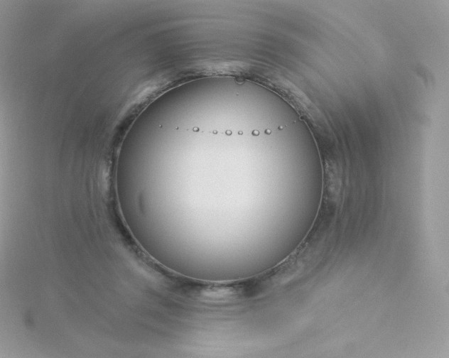 X0000115830357200911271204