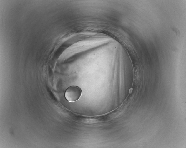 X0000115830361200911271204