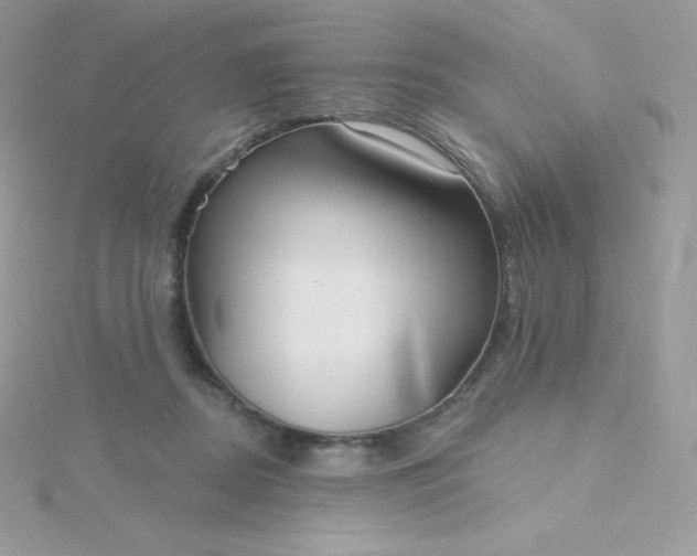 X0000115830362200911271204