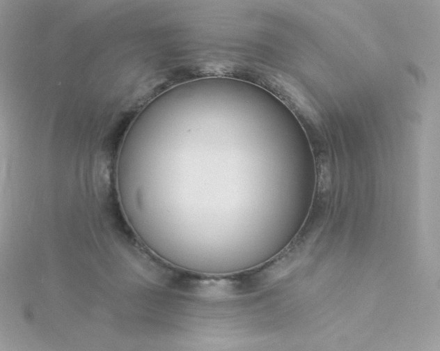 X0000115830363200911271204