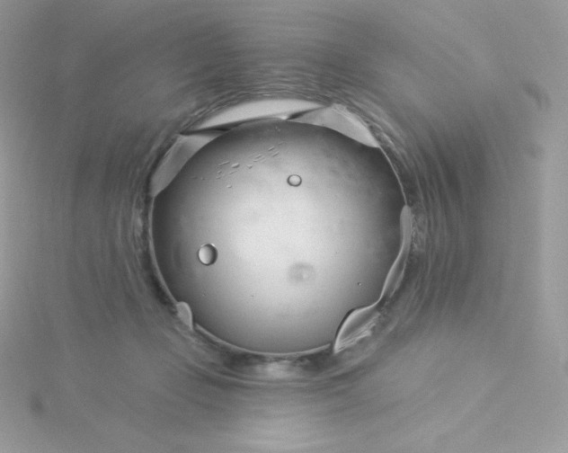 X0000115830365200911271204