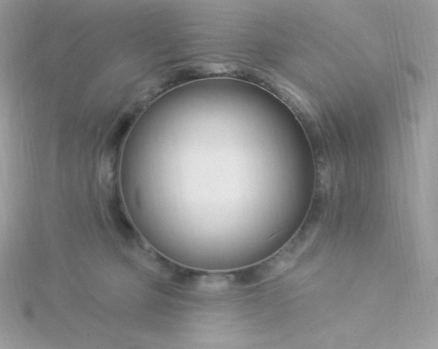 X0000115830373200911271204