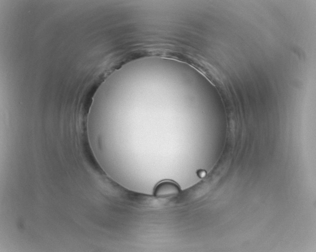 X0000115830379200911271204