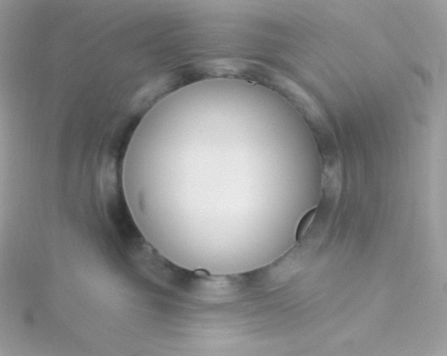 X0000115830381200911271204