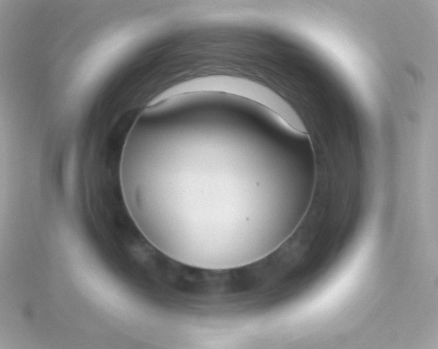 X0000115830382200911271204