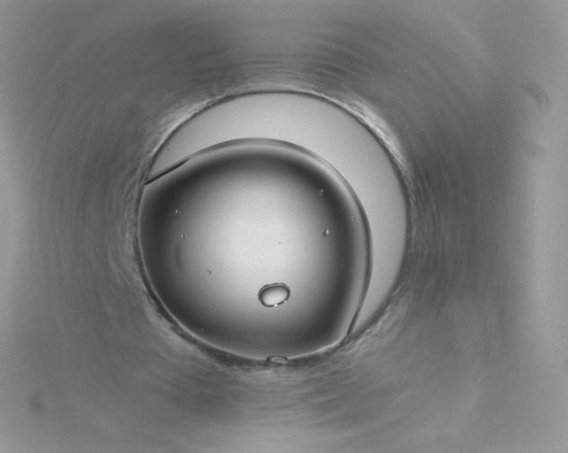 X0000115830385200911271203