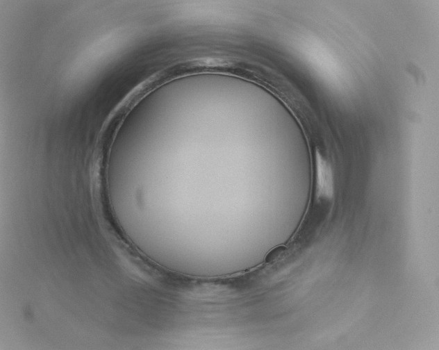 X0000115830387200911271203