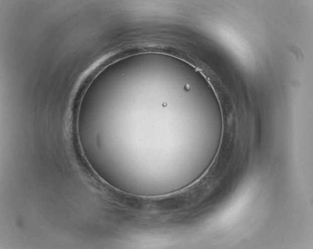 X0000115830388200911271203