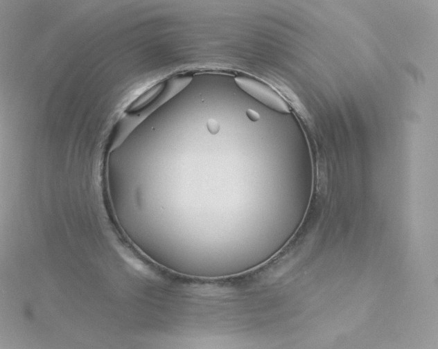 X0000115830389200911271203