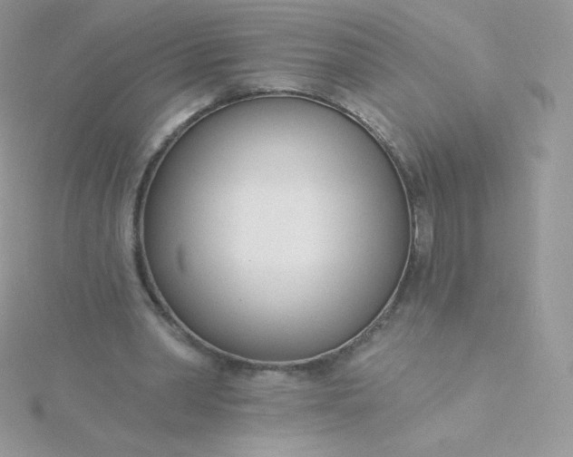 X0000115830390200911271203