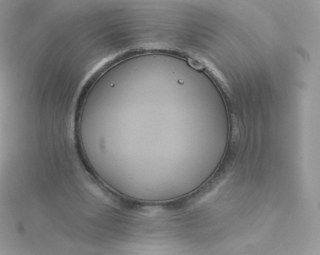 X0000115830391200911271203