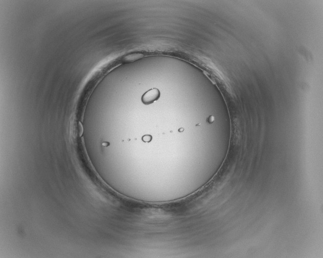 X0000115830392200911271203