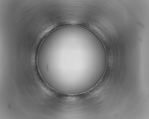 X0000115830394200911271203