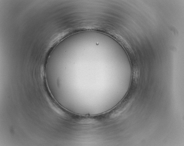 X0000115830397200911271203