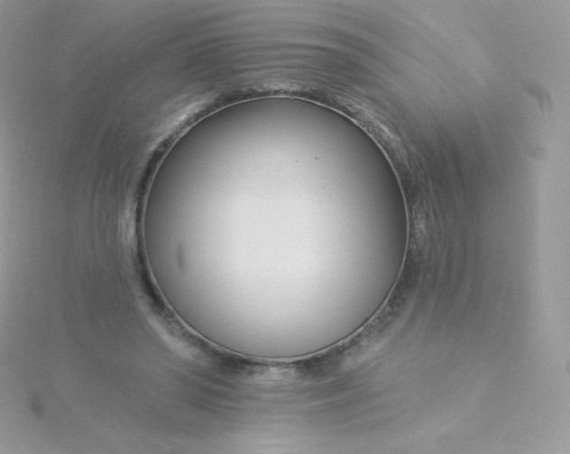 X0000115830398200911271203