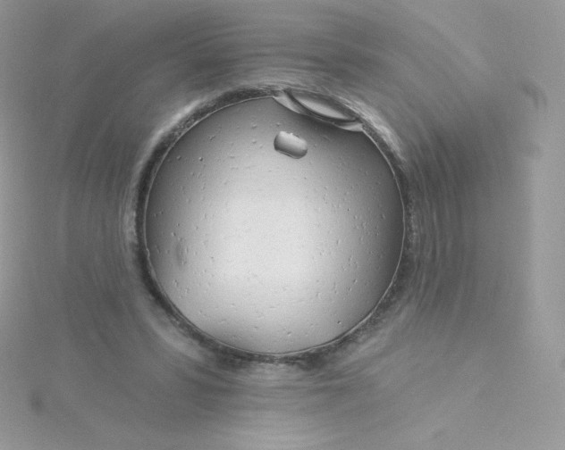 X0000115830399200911271203