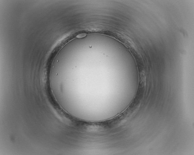 X0000115830400200911271203