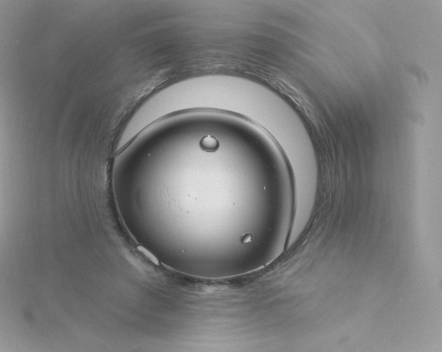 X0000115830401200911271203