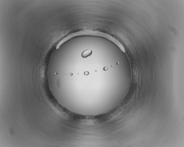 X0000115830404200911271203