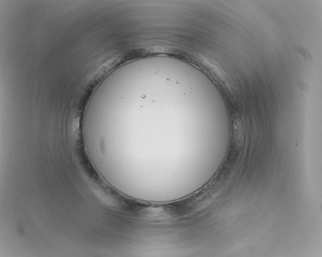 X0000115830406200911271203