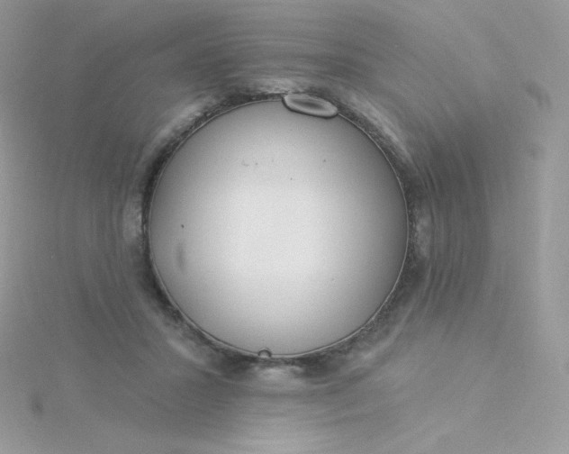 X0000115830407200911271203