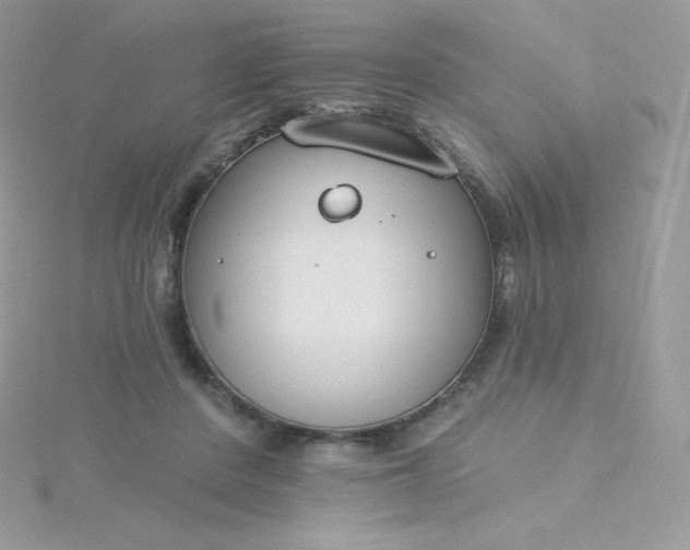 X0000115830408200911271203