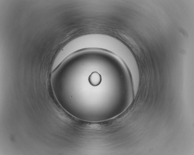 X0000115830409200911271203