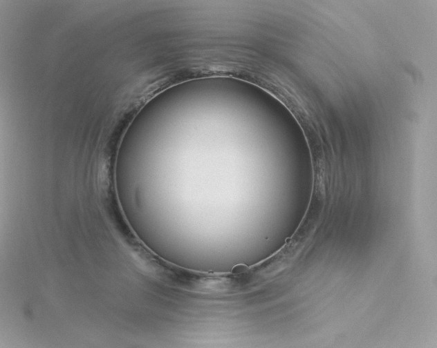 X0000115830410200911271203